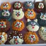 Box of Cats cupcakes