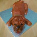 Alfie dog cake